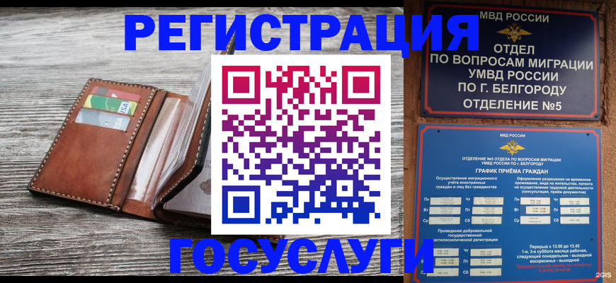 временная регистрация гарантия в Магадане